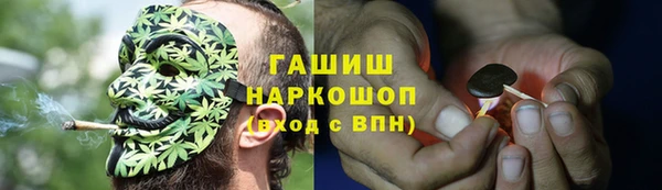 дживик Слюдянка