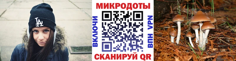 Галлюциногенные грибы Psilocybe  как найти   блэк спрут   Ликино-Дулёво 